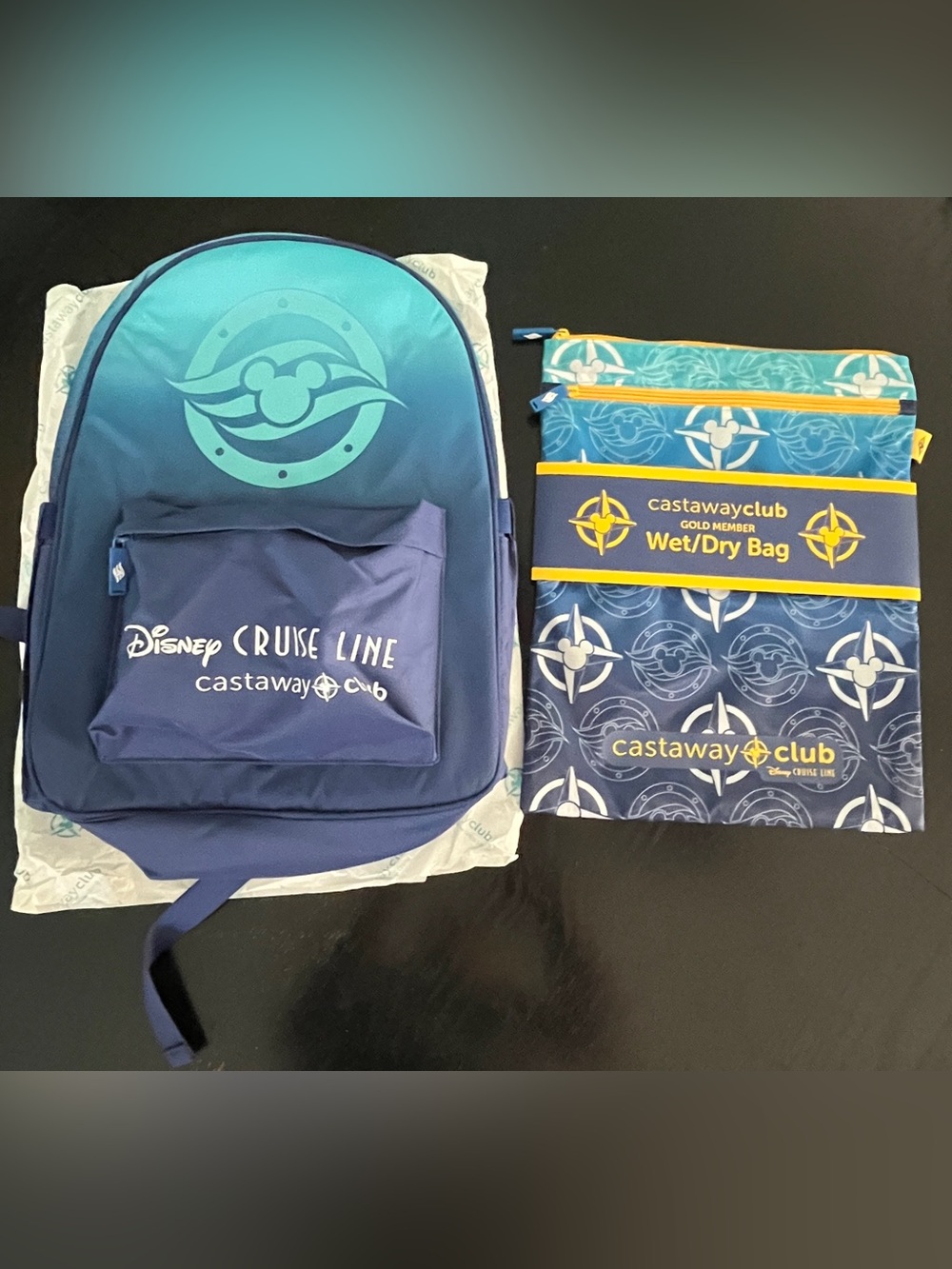 2026 Disney Cruise DCL Castaway Club Backpack & Wet Dry Bag - Gold Member